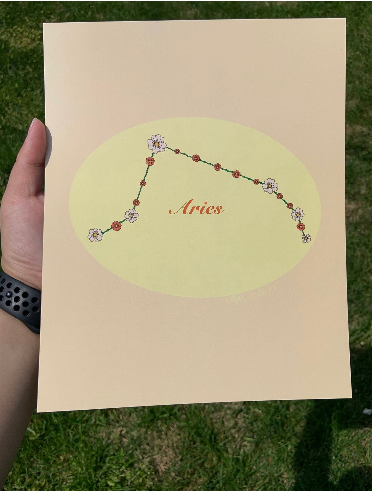 Aries Flower Zodiac Constellation Art Print