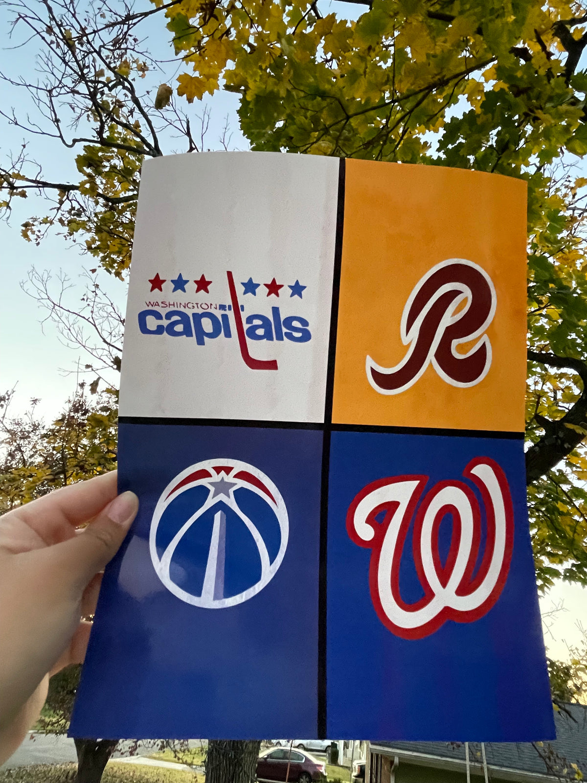 DMV Sports Original Art Print