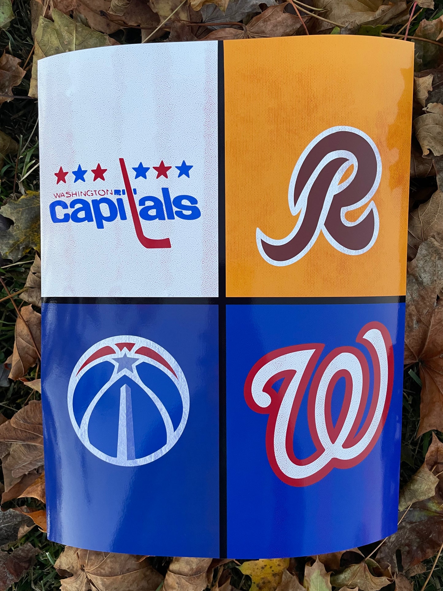 DMV Sports Original Art Print